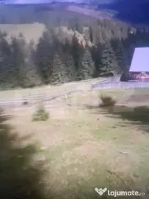 Teren în comuna Panaci, 15000 mp, oportuintate unica de inv