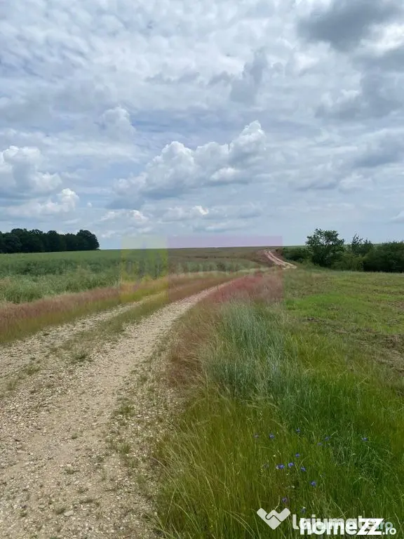 6,26 ha lângă DEx12 Pitești | 2,95 €/mp | acces DJ P...