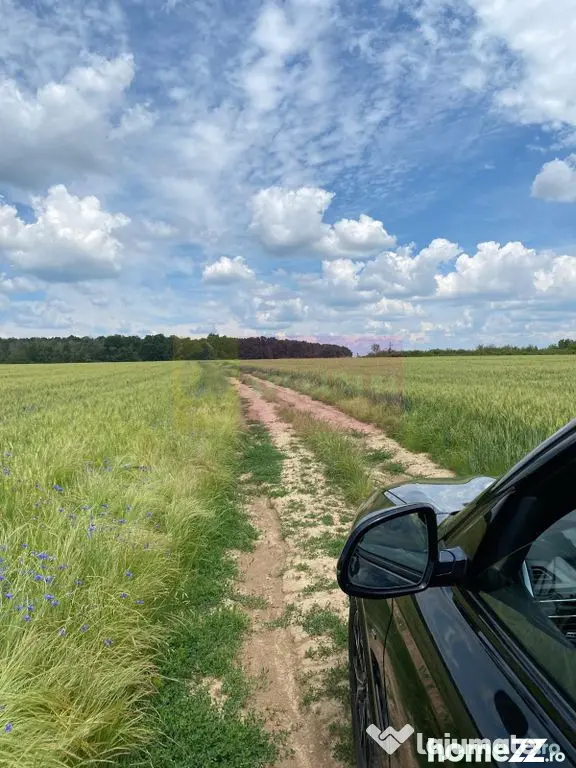 6,26 ha lângă DEx12 Pitești | 2,95 €/mp | acces DJ P...