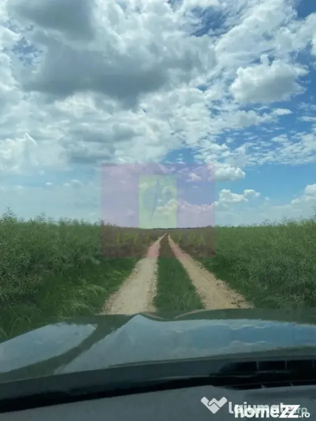 Teren 6,26 ha lângă DEx12 Pitești - Albota (Arges)