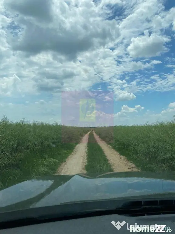 Teren 6,26 ha lângă DEx12 Pitești