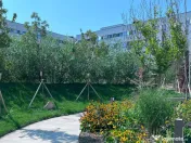 Apartament 3 camere Nou, 83 mp S.Utilă -lângă Mall Colosseum, Sector 1