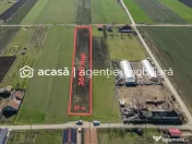 Teren 3.600 mp în Curtici, 2 fronturi stradale – La do... 