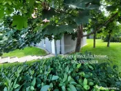 Boxa 17.2 mp, acces exterior, CF individual, Avantgarden 1 B 