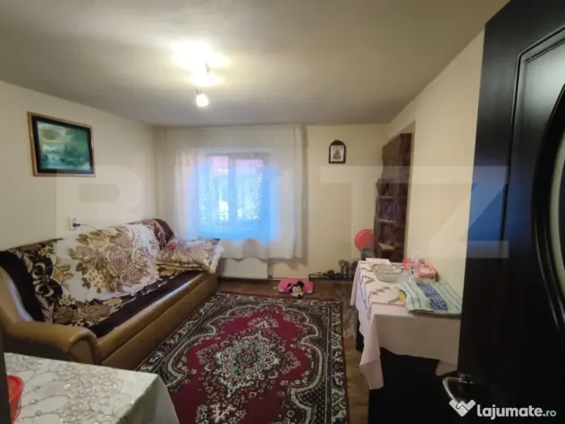Gospodarie deosebita, casa de locuit, spatiu comercial, 155