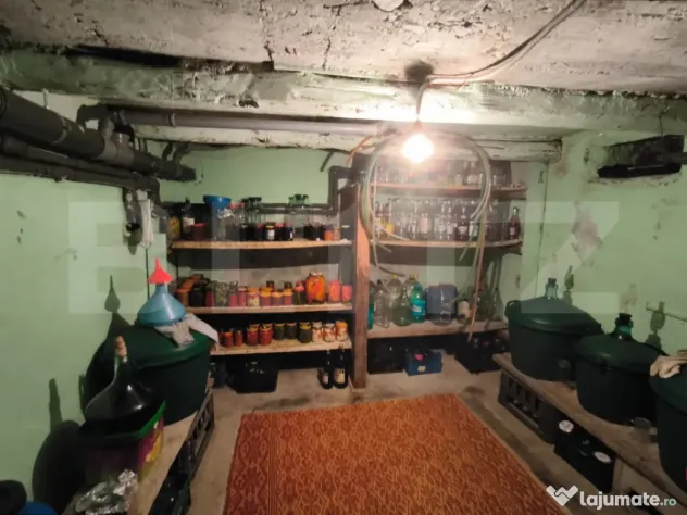 Gospodarie deosebita, casa de locuit, spatiu comercial, 155
