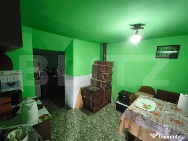 Gospodarie deosebita, casa de locuit, spatiu comercial, 155