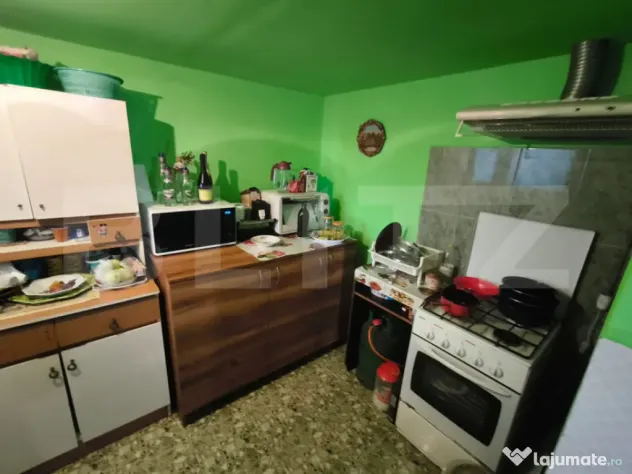 Gospodarie deosebita, casa de locuit, spatiu comercial, 155