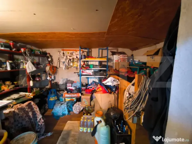 Gospodarie deosebita, casa de locuit, spatiu comercial, 155