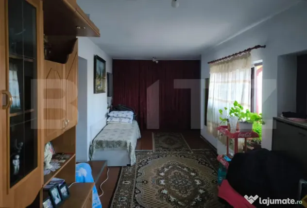 Gospodarie deosebita, casa de locuit, spatiu comercial, 155