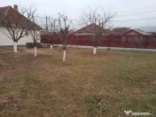 Seini, casa cocheta , cu 2 intrari 