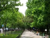 Vanzare apartament de 3 camere bd Unirii, vedere bulevard... 