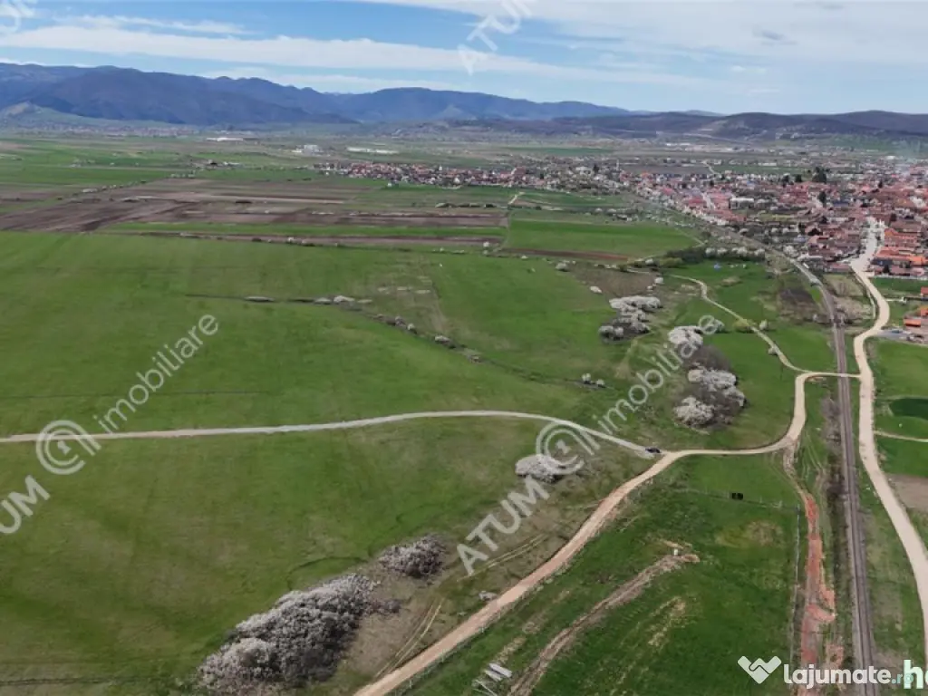 Teren de 585 mp in Sibiu pretabil investitie