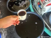 Vin de casa natural - 2025 