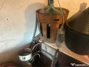 Vin de casa natural - 2025 