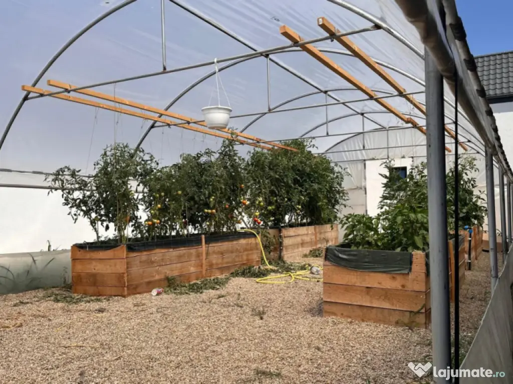 Casă cu piscină, 320 mp, teren 1.120 mp, aproape Mall Ele