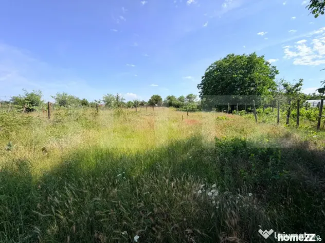 Teren intravilan, 700 mp, Cosoveni