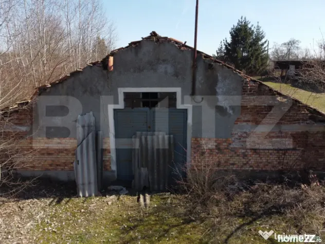Business Agro-Industrial , 8.032 mp Curți Construcții , 13