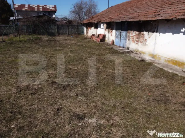 Business Agro-Industrial , 8.032 mp Curți Construcții , 13
