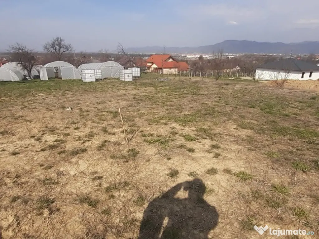 Satu Nou de Jos, 5 ari teren