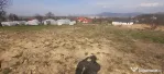 Satu Nou de Jos, 5 ari teren