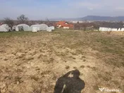 Satu Nou de Jos, 5 ari teren 