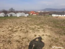 Satu Nou de Jos, 5 ari teren