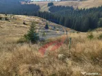 Teren de vanzare in Horezu/Bolca Pietrele Scrise/Valcea