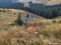 Teren de vanzare in Horezu/Bolca Pietrele Scrise/Valcea