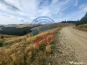 Teren de vanzare in Horezu/Bolca Pietrele Scrise/Valcea 