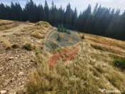 Teren de vanzare in Horezu/Bolca Pietrele Scrise/Valcea 