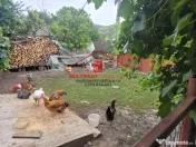 Casa in Telita cu vedere spre padure! 