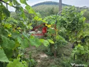 Casa in Telita cu vedere spre padure! 