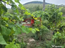 Casa in Telita cu vedere spre padure!