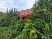 Casa in Telita cu vedere spre padure! 