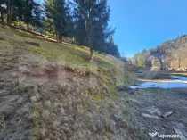 Teren de vânzare – 2.977 mp, intravilan, Scărișoara