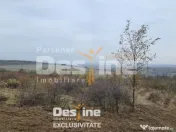 COMISION 0% CUMPARATOR - Teren intravilan 900 mp - Vișan, B 