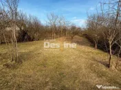 Teren INTRAVILAN, Copou, Viticultori, Iași 1451mp 