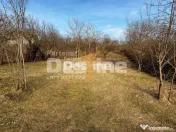 Teren INTRAVILAN, Copou, Viticultori, Iași 1451mp