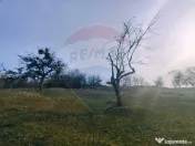 Teren intravilan generos 3.206 mp în Remecioara | Privel... 