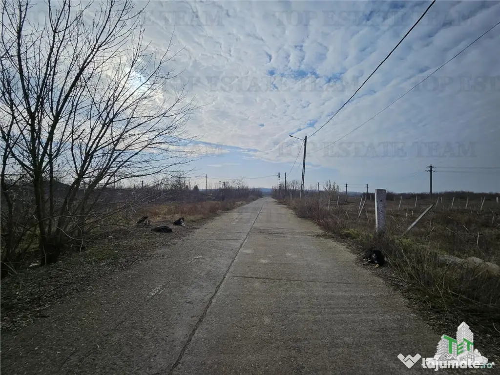 Teren intravilan Harsova