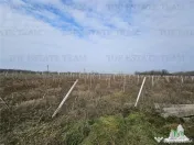 Teren intravilan Harsova 