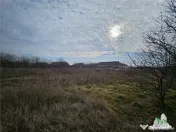 Teren intravilan Harsova 