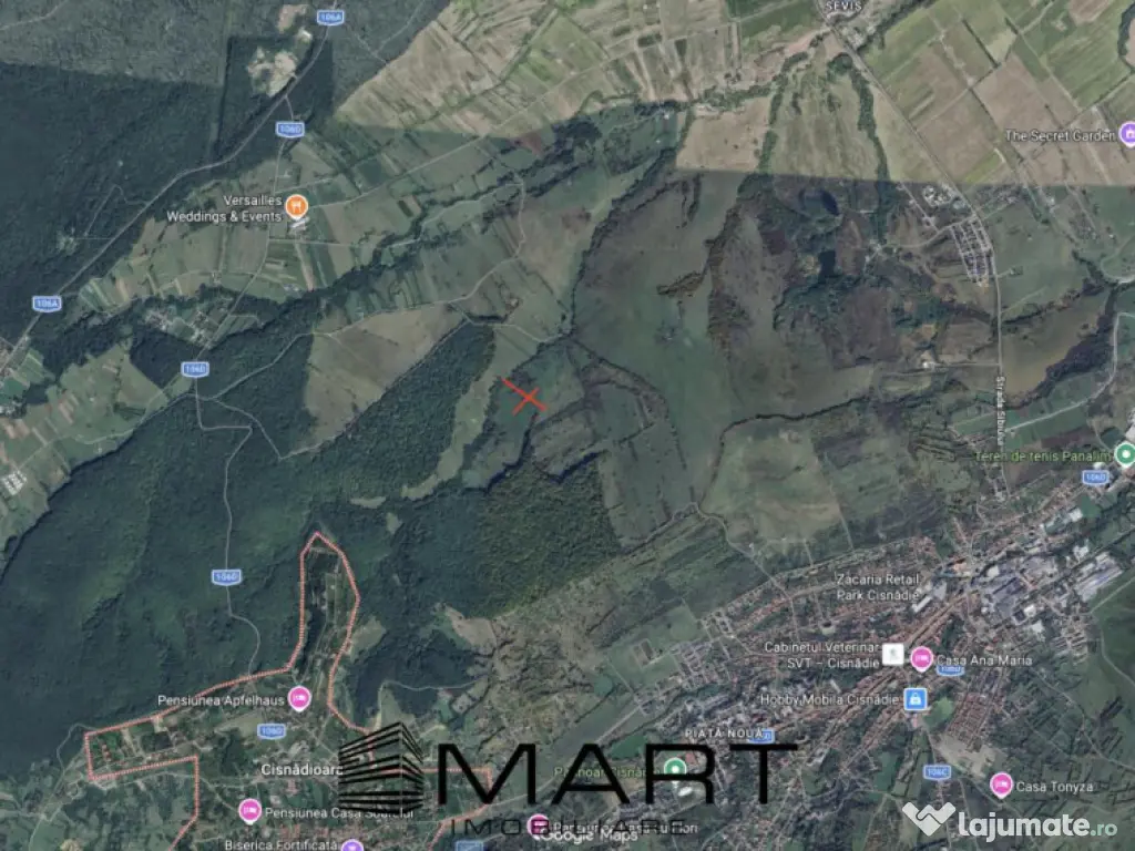 Teren extravilan agricol + fanata 21000mp Cisnadie