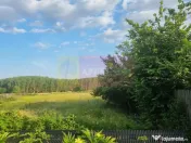 VANZARE TEREN 2150 MP IN SAT TEISORI (GR) 