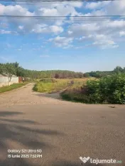 VANZARE TEREN 2150 MP IN SAT TEISORI (GR) 