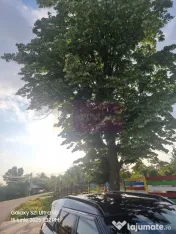 VANZARE TEREN 2150 MP IN SAT TEISORI (GR) 