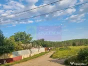 VANZARE TEREN 2150 MP IN SAT TEISORI (GR) 