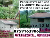 La munte Teren de 1400 MP.Cabana 11 MP
