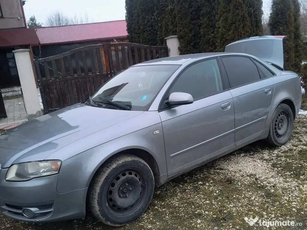 Vand Audi a4 b7 2005 1.9 tdi